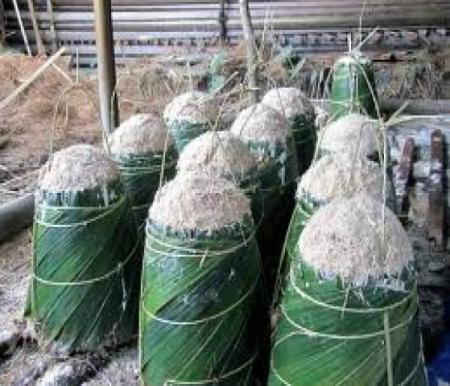 Ilustrasi tepung sagu basah di Riau naik tipis (foto/int)